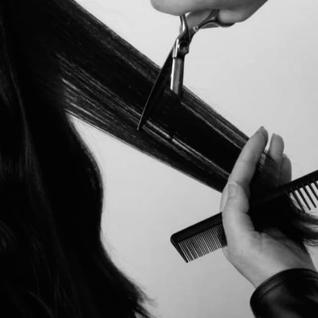 The KP Cut & Keep Club at KP Hair Lab in Garden City, NY